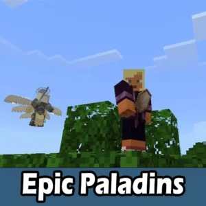Epic Paladins