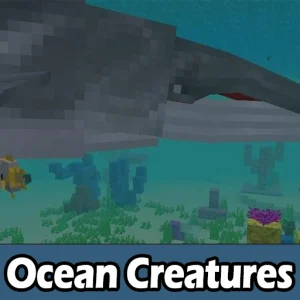 Ocean Creatures
