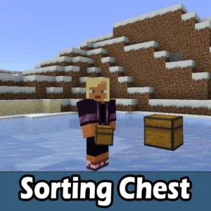 Sorting Chest