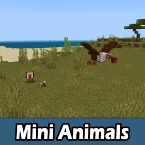 Mini Animals